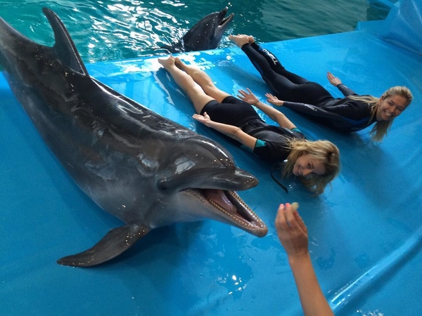 Вера Брежнева показала забавное фото с дельфинами