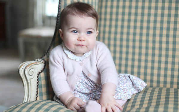 В честь британской принцессы Шарлотты назвали сорт хризантемы