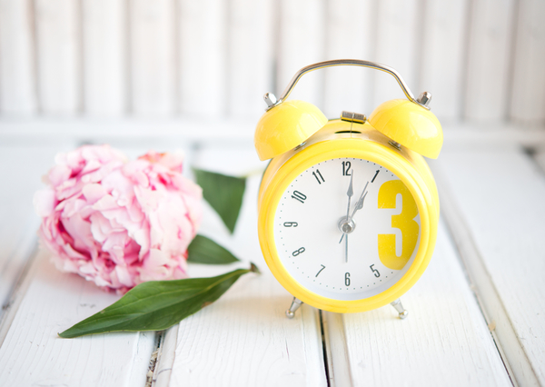 Десять причин просыпаться раньше