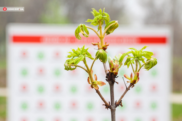 пресс-служба