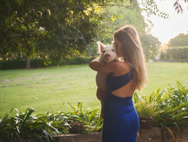 Необычные питомцы: свинка Олив думает, что она – собака