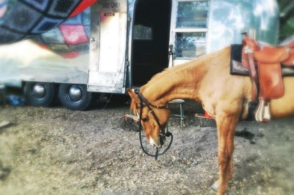 instagram.com/channingtatum