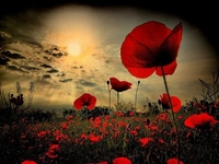 8 мая в Украине отмечают день памяти и примирения