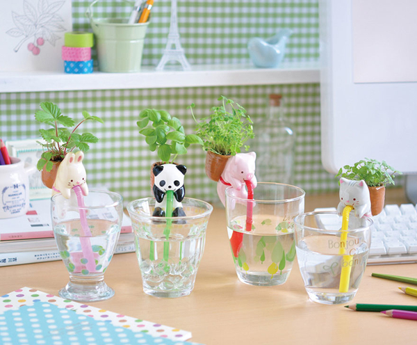 Дизайнеры изобрели самоувлажняемые горшочки для растений