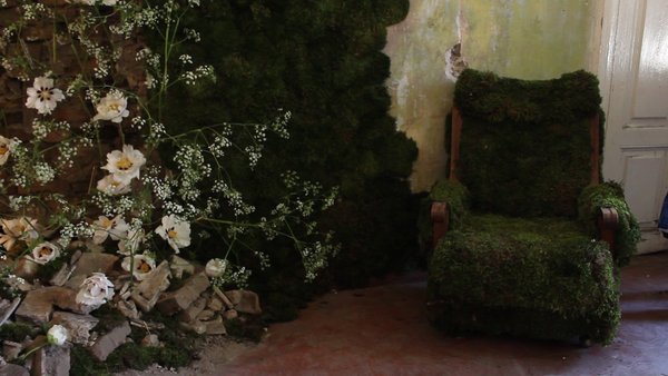 Новую жизнь старому дому: флористы украсили заброшенное здание