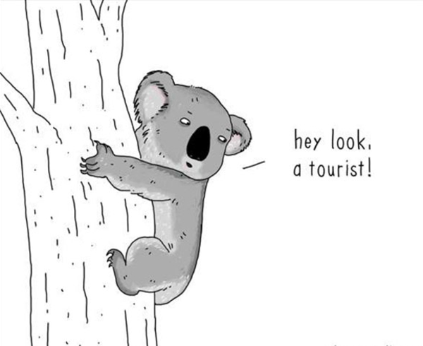 Если б животные могли говорить: забавные картинки