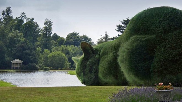 Кото-кусты британского художника покорили интернет