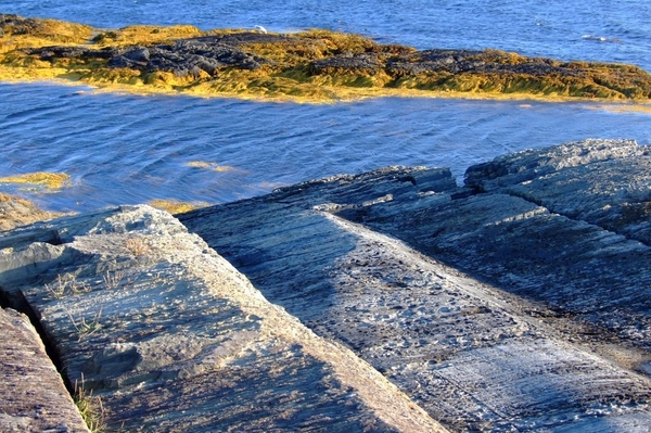 Neal Wellons / Flickr Creative Commons / Via Flickr: 97423979@N00