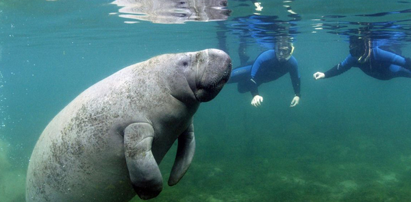 Семь лучших туристических точек для любителей животных