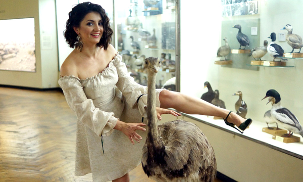 ЦибульскаЯ устроила погром в музее