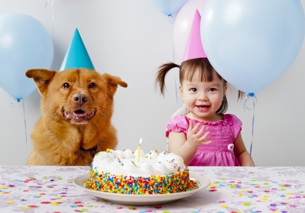 Интересные идеи для детского праздника