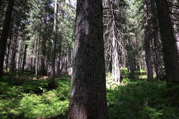 facebook.com/ruslana.lyzhychko.5