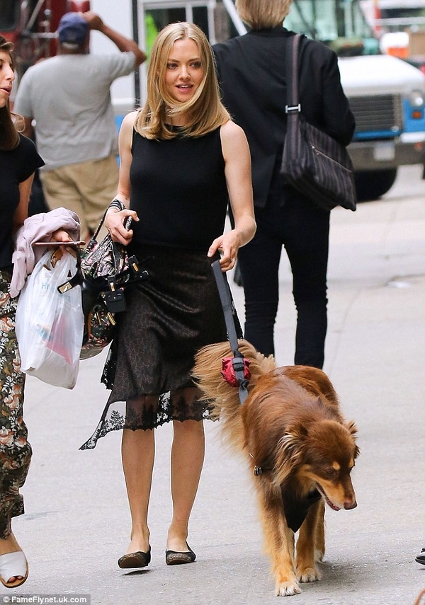 Аманда Сейфрид прогулялась с домашним питомцем по Нью-Йорку