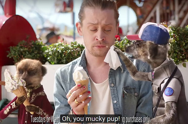 Маколей Калкин снялся в рекламе с русскими сурикатами