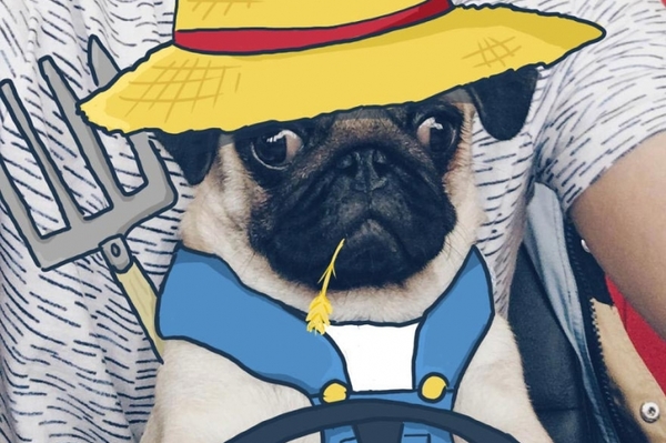 instagram.com/mr_georges_doodle