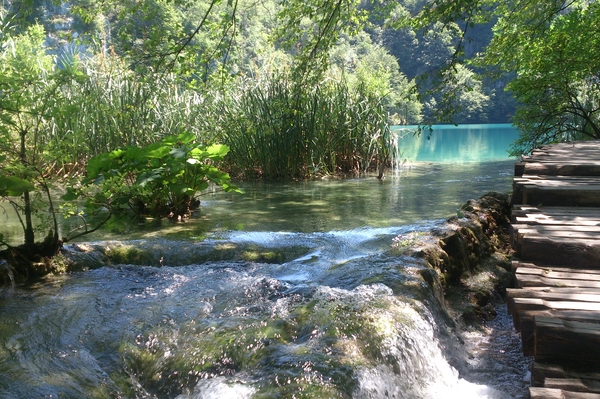 Фото: Юлия Мясоедова