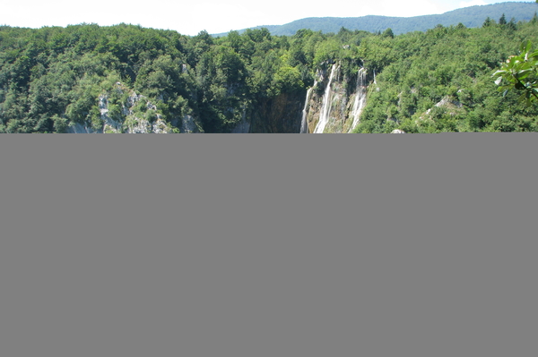 Фото: Юлия Мясоедова