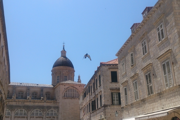 Фото: Юлия Мясоедова