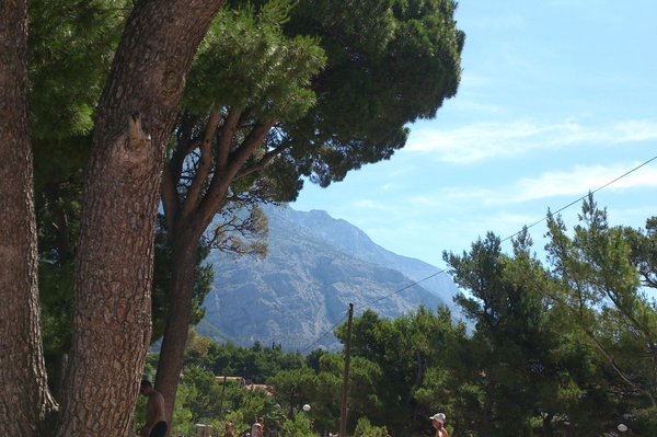 Фото: Юлия Мясоедова