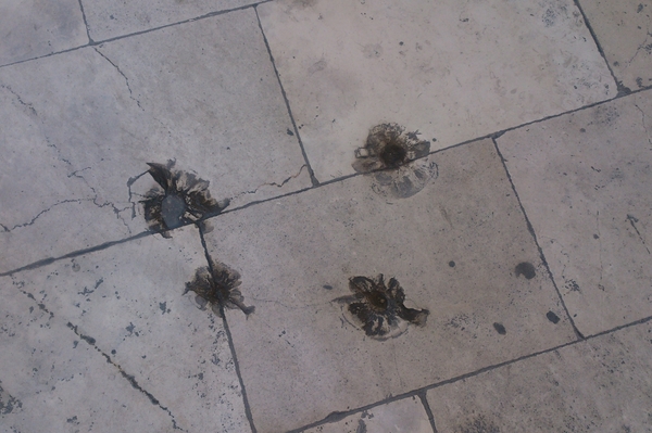 Фото: Юлия Мясоедова