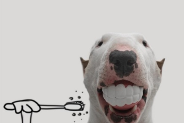 instagram.com/rafaelmantesso/