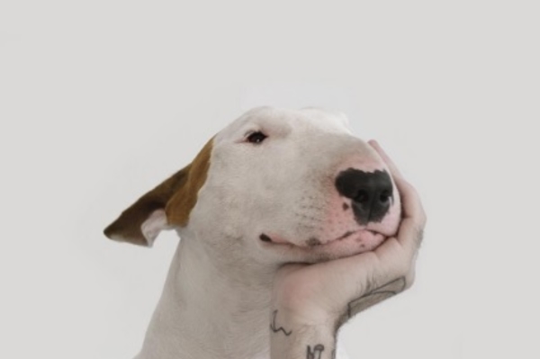 instagram.com/rafaelmantesso/