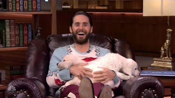 Джаред Лето и Джимми Фэллон поборолись за шестерых щенков
