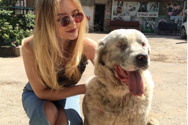 instagram.com/stpellegrino