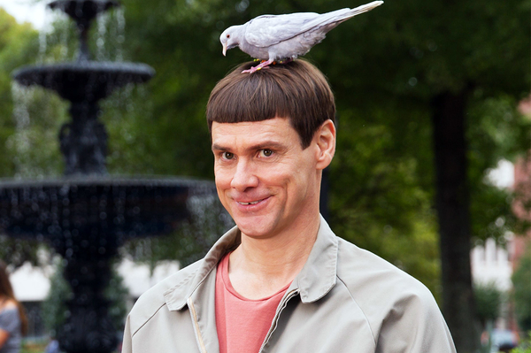 кадр из фильма Тупой и еще тупее