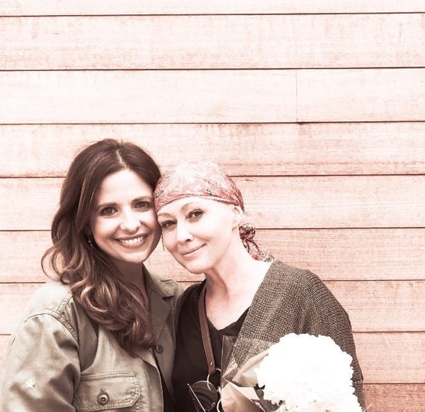 Сара Мишель Геллар поддержала больную раком Шеннен Доэрти