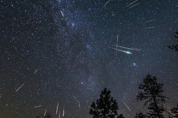 instagram/newmilkyway