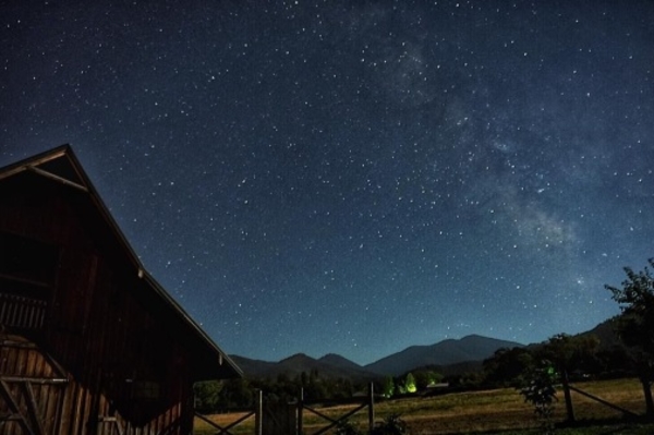 instagram.com/roguetodixie/