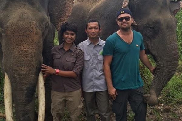 instagram.com/leonardodicaprio