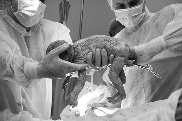 facebook.com/victoria.ivlevayorke