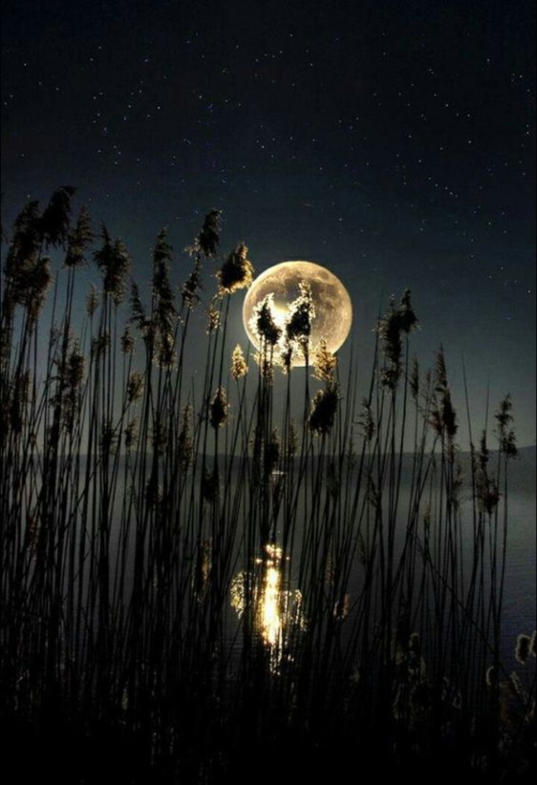 Две Луны: украинцев заинтересовало природное явление