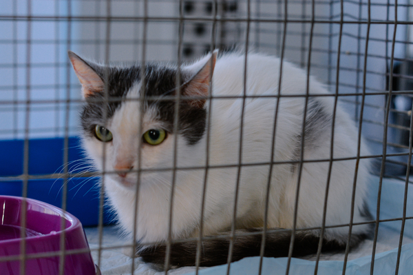 пресс-служба