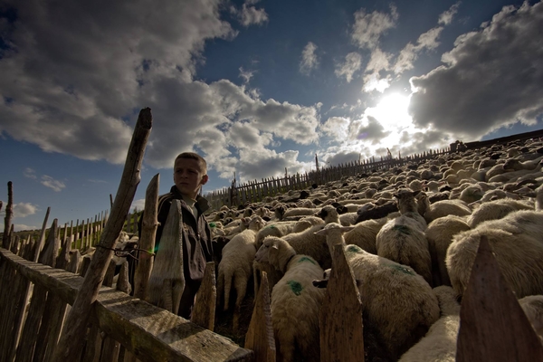 ТОП-10 современных украинских фильмов, которые нужно знать