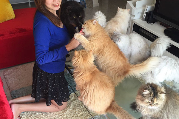 instagram.com/12catslady