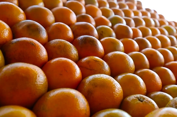 Пресс-служба НЛО TV