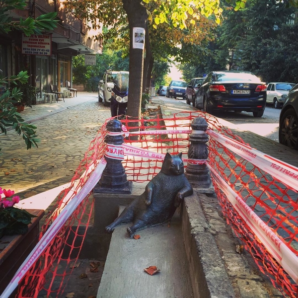 Всемирный день животных: в Стамбуле открыли памятник задумчивому коту