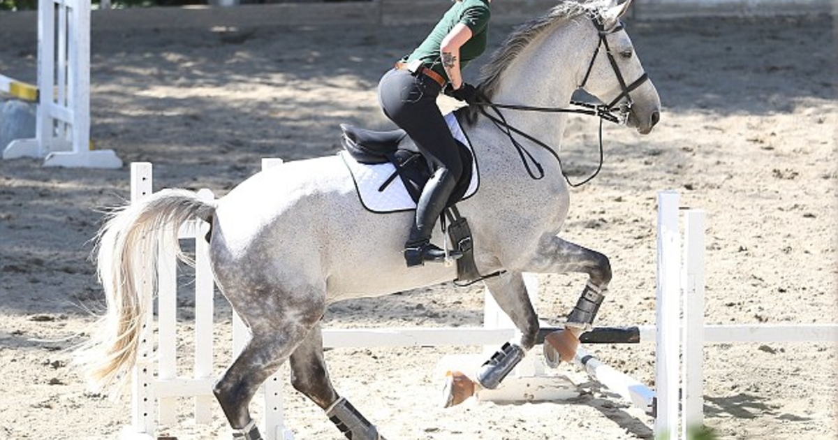 Увлекаюсь конным спортом. Знаменитости которые занимаются конным спортом. Известные люди которые занимаются конным спортом. Что подарить на НГ на 12 лет который увлекается верховой ездой. Это всё он фильм Эдисон Рэй на уроке верховой езды.
