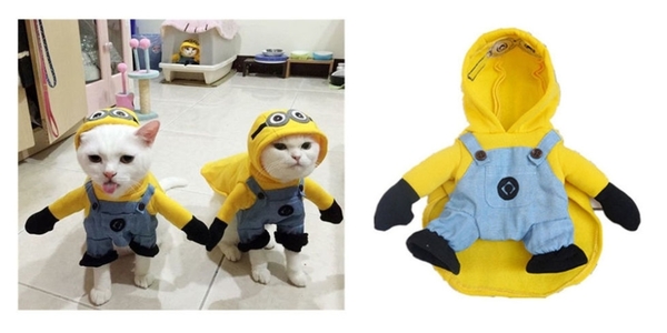 Кот тоже будет праздновать Хэллоуин: костюмы для хвостатых