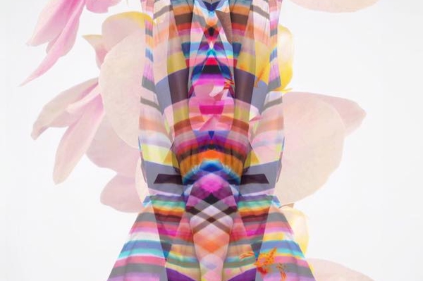 facebook.com/Amy-Grace-554047104650851