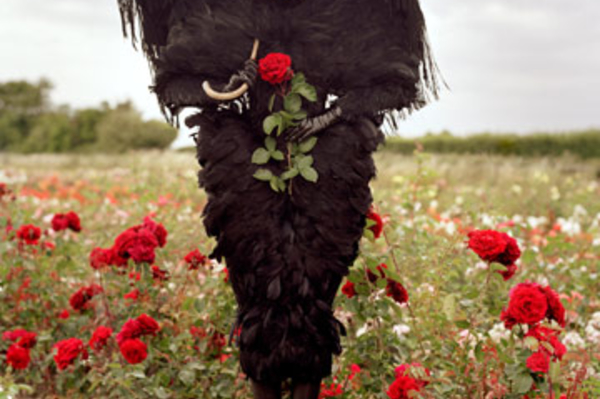 museboutiquelagunabeach.wordpress.com