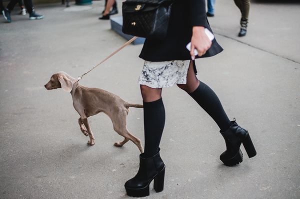 Фото: Марина Головнева