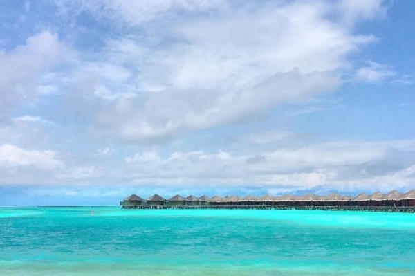 instagram.com/hectorjimenezbravo