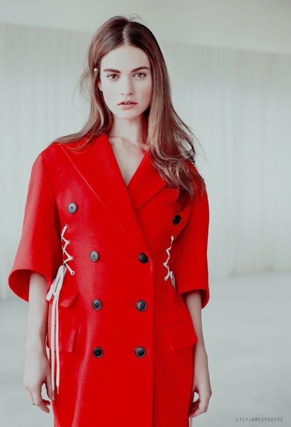 Новый год 2017: год кого