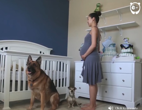 Визуализация беременности: девять месяцев в 60 кадрах