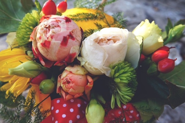 Avramenko floristic workshop