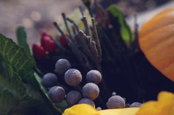 Avramenko floristic workshop